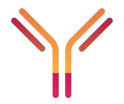 Participation à la Conférence Internationale des Pathologies Chroniques